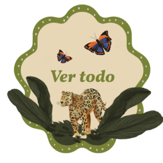 Ver todo
